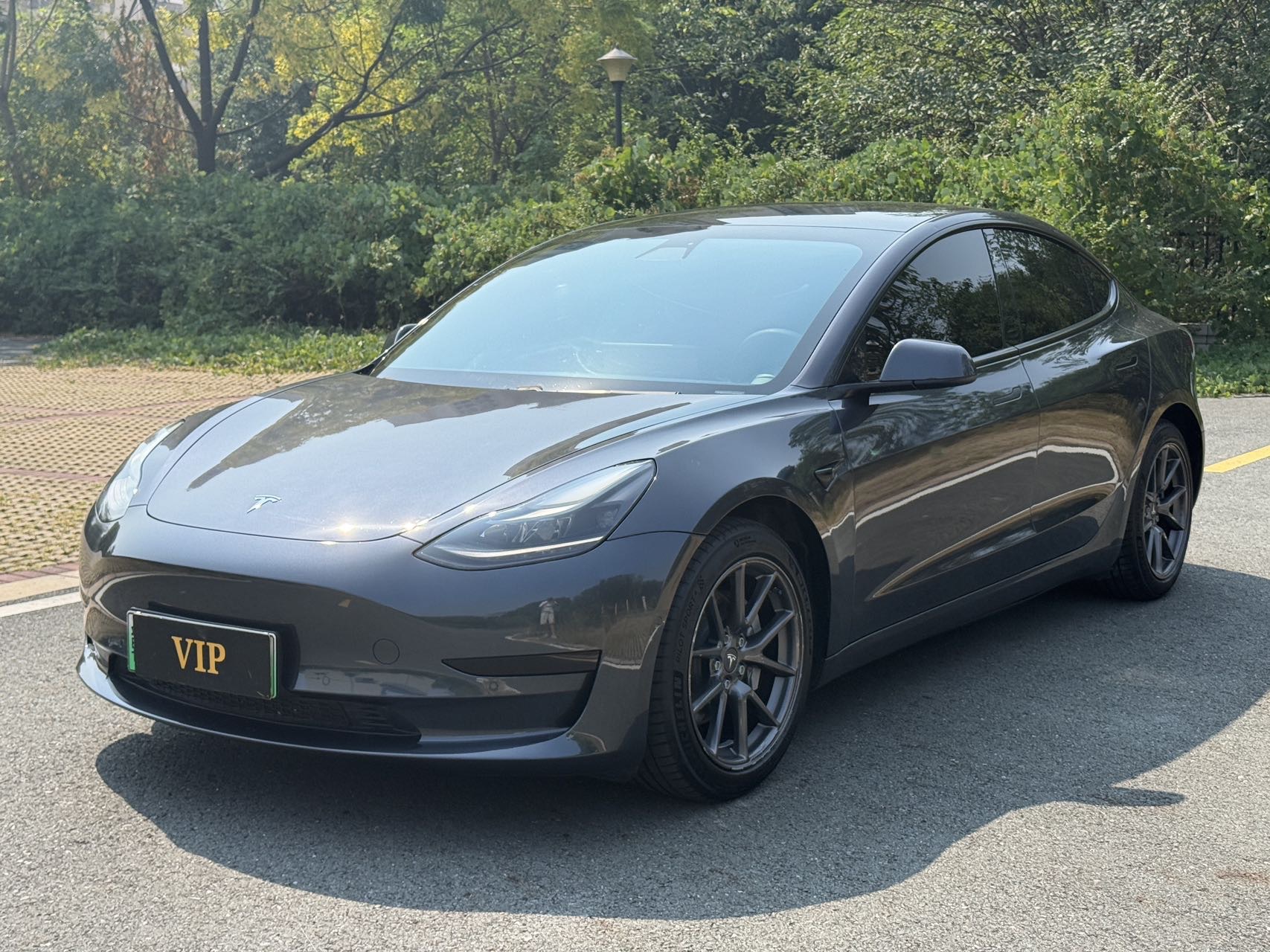 Tesla Model 3 2021 Tesla Model 3 2021 car image