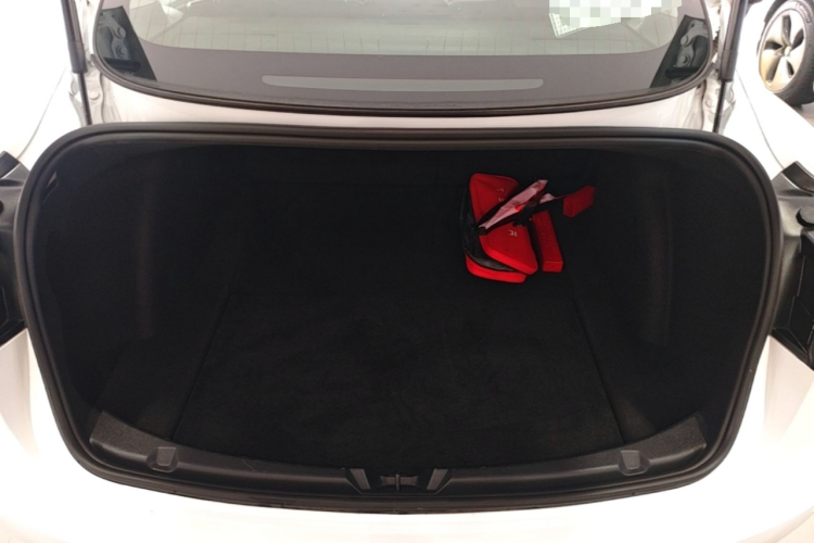 Tesla Model 3 2020 #21 Tesla Model 3 2020 car image #21