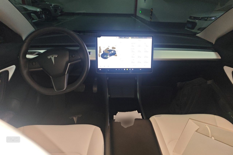 Tesla Model 3 2020 car image #11