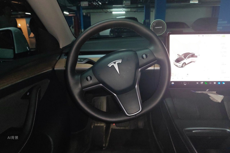 Tesla Model Y 2021 car image #12