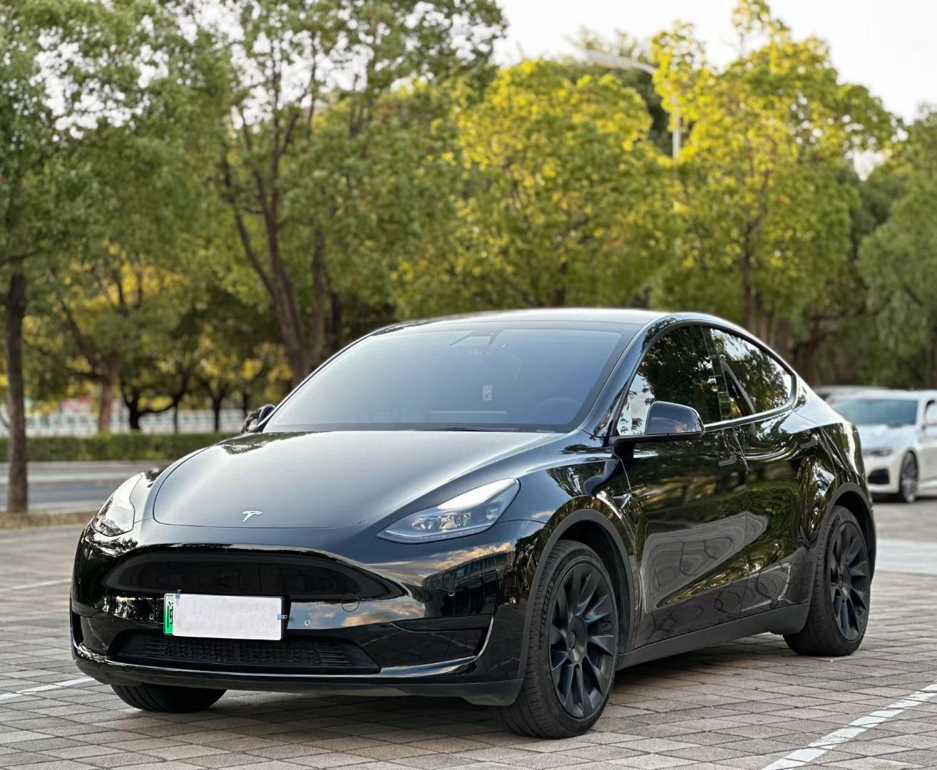 Tesla Model Y 2021 Tesla Model Y 2021 immagine di auto