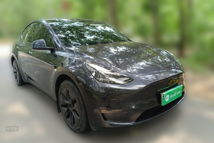 Tesla Model Y 2024 #4 Tesla Model Y 2024 car image #4