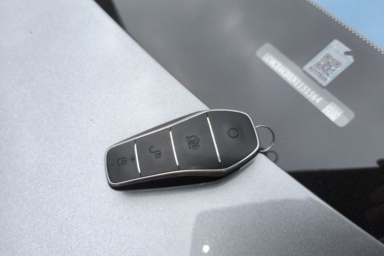 比亚迪 汉 2022 汽车图片 #9