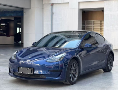 Tesla Model 3 2021 Tesla Model 3 2021 car image