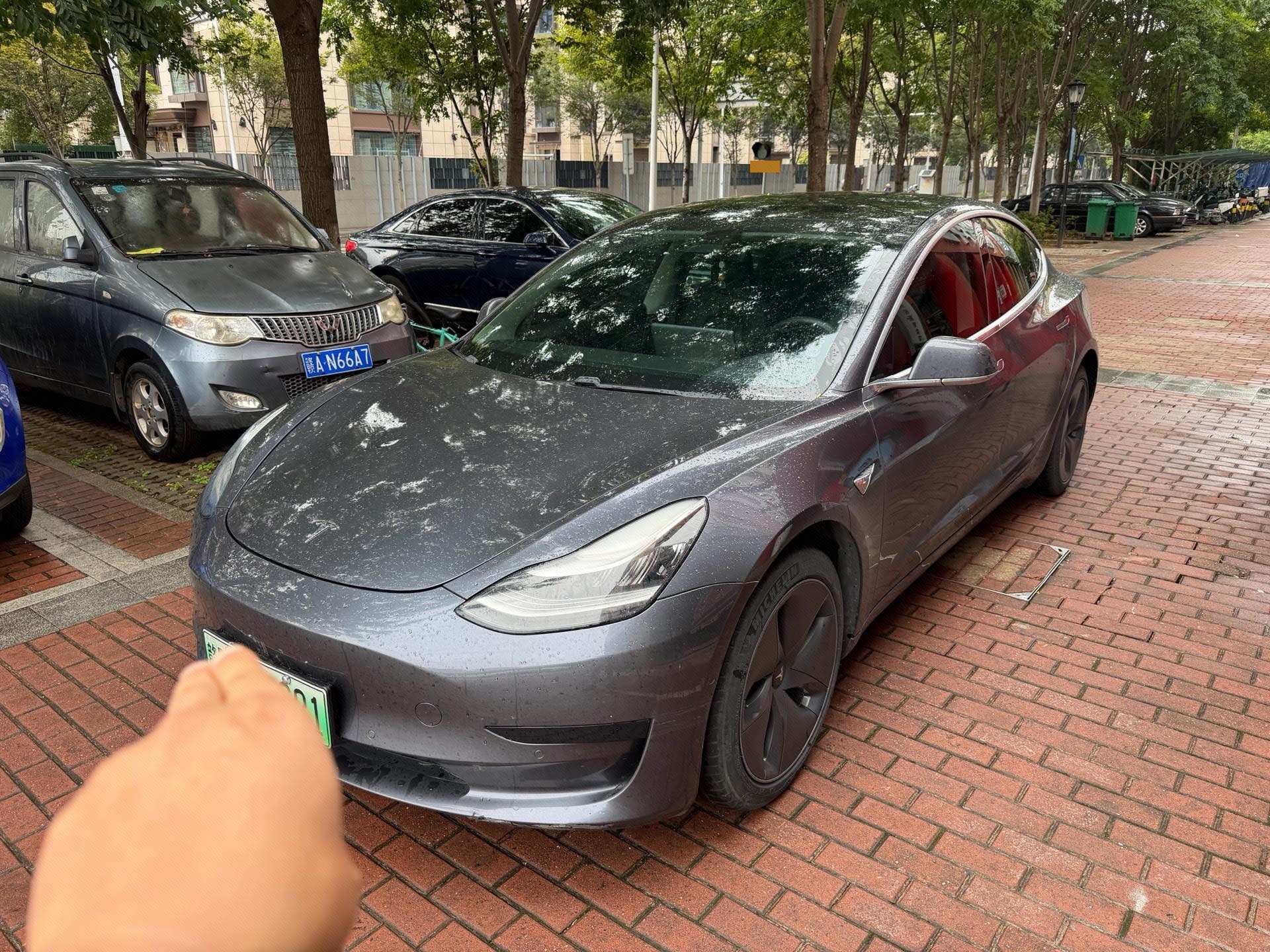 Tesla Model 3 2021 Tesla Model 3 2021 car image