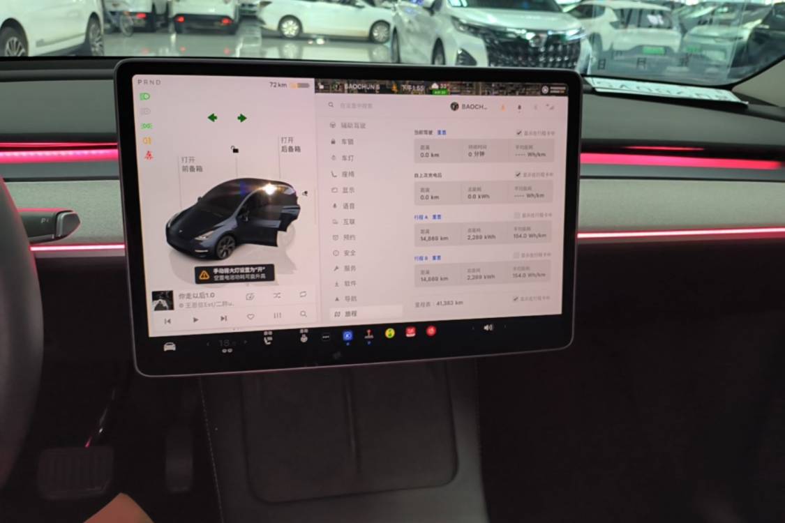 Tesla Model Y 2024 car image #14