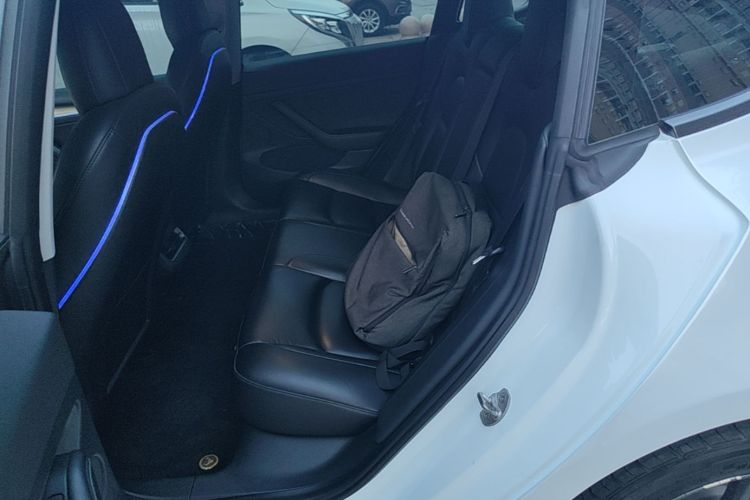 Tesla Model 3 2021 car image #17