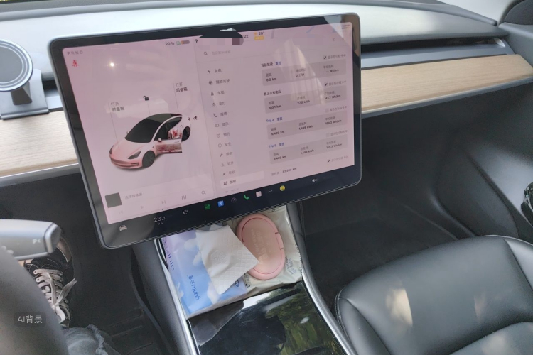 Tesla Model 3 2020 car image #15
