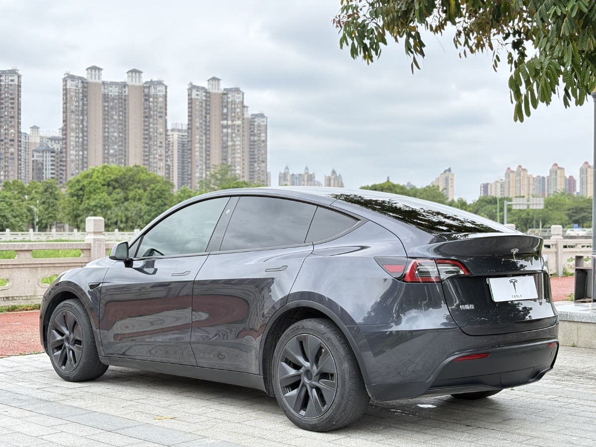 Tesla Model Y 2024 car image #7