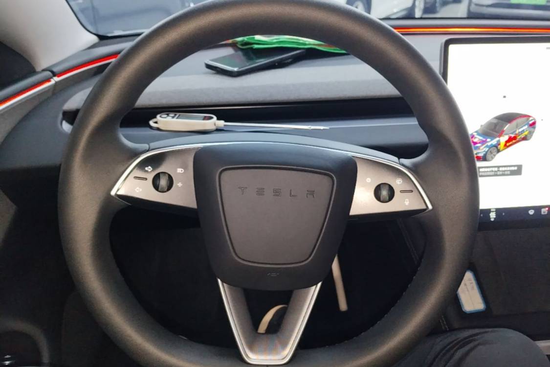 Tesla Model 3 2024 imagen de coche #16