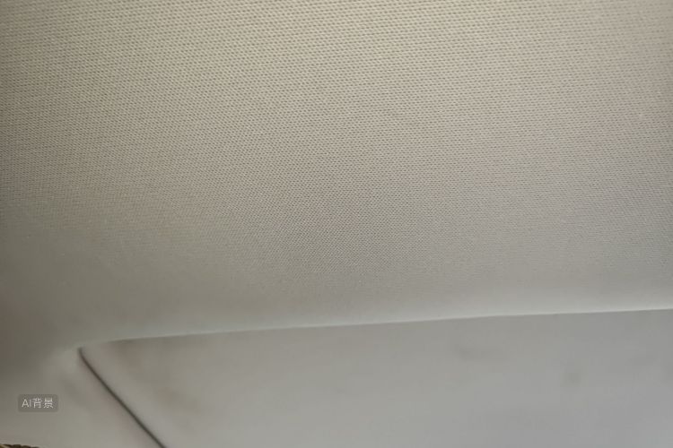 Volkswagen Bora 2017 imagen de coche #20