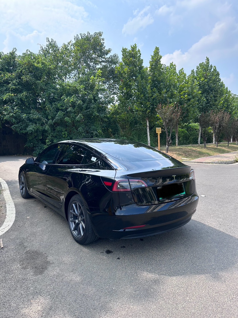 Tesla Model 3 2021 car image #7