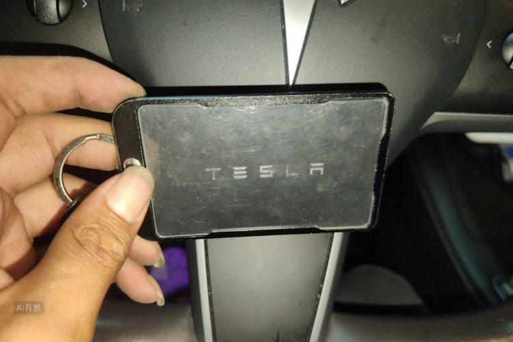Tesla Model Y 2021 car image #10