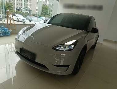 Tesla Model Y 2022 Tesla Model Y 2022 car image