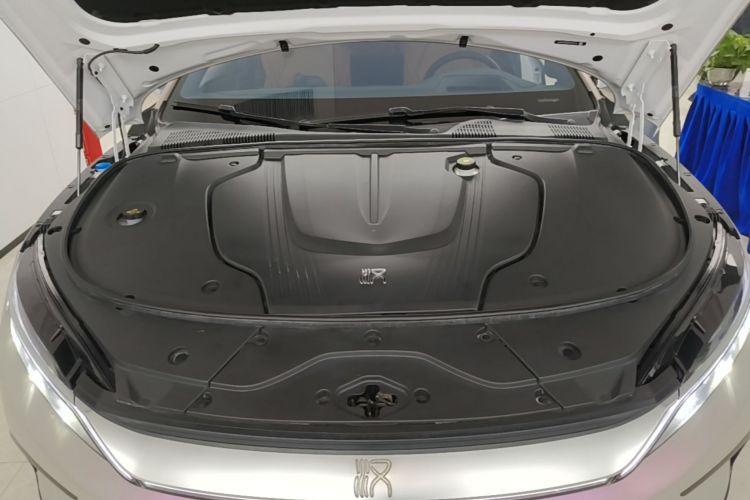 BYD Han 2022 car image #20