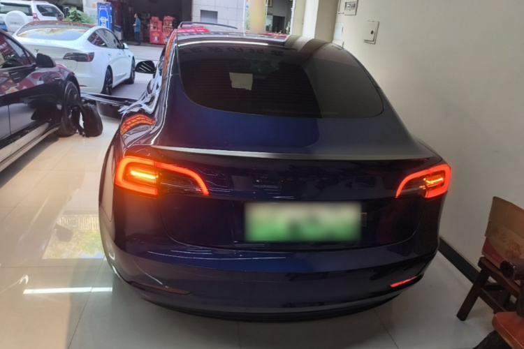 Tesla Model 3 2022 car image #6