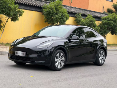 Tesla Model Y 2022 Tesla Model Y 2022 car image