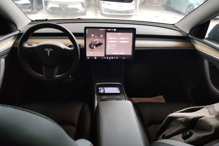 Tesla Model Y 2023 car image #10