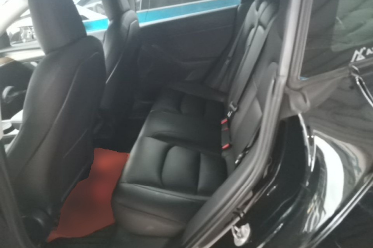 Tesla Model 3 2021 car image #17