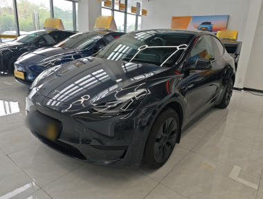 Tesla Model Y 2024 car image 