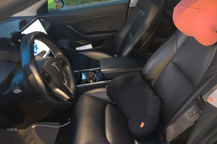 Tesla Model 3 2020 #17 Tesla Model 3 2020 car image #17