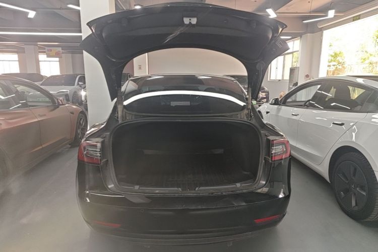 Tesla Model 3 2022 #21 Tesla Model 3 2022 car image #21