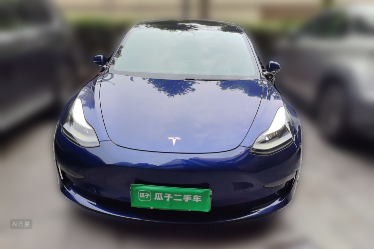 Tesla Model 3 2020 car image #3