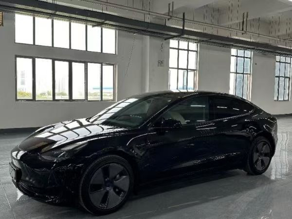 Tesla Model 3 2023 Tesla Model 3 2023 car image