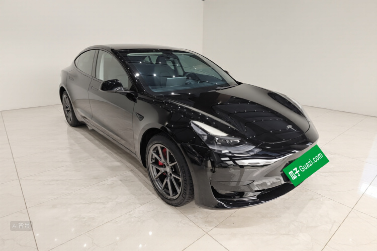 Tesla Model 3 2021 car image #4