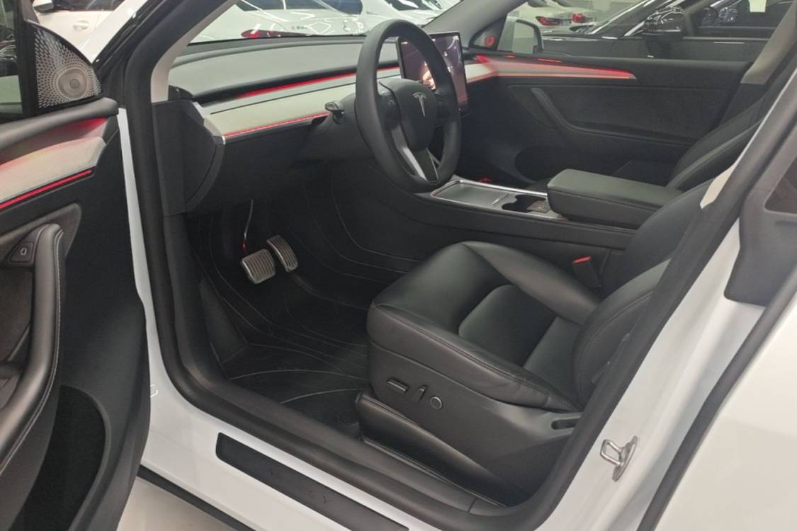 Tesla Model Y 2024 car image #17