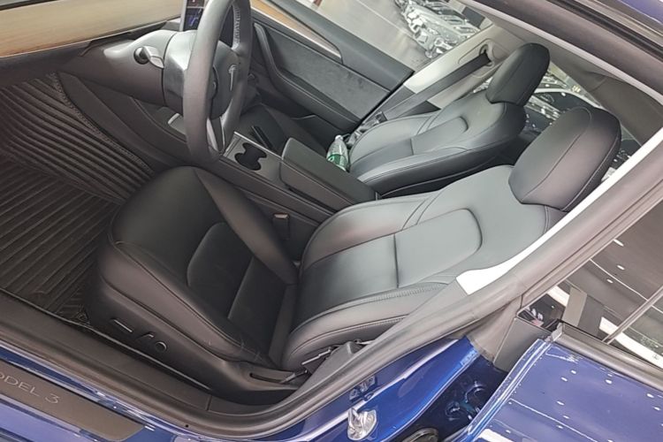 Tesla Model 3 2021 #19 Tesla Model 3 2021 car image #19