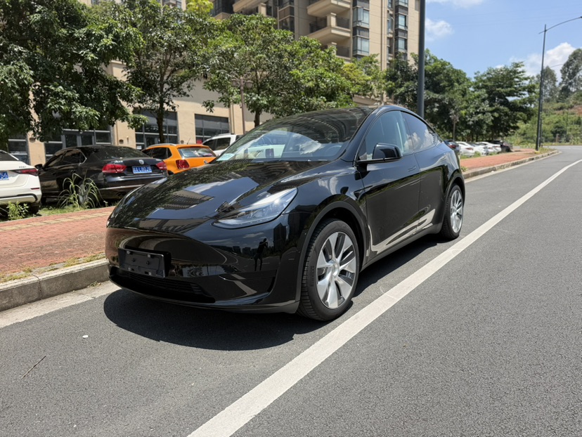 Tesla Model Y 2023 car image #2