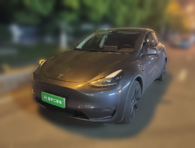 Tesla Model Y 2024 Tesla Model Y 2024 car image