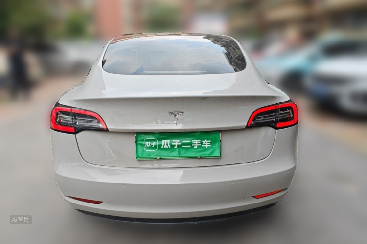 Tesla Model 3 2021 car image #6