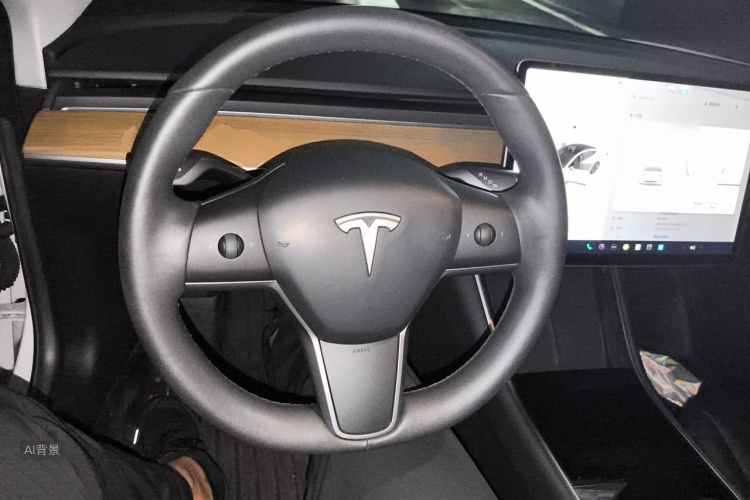 Tesla Model 3 2020 car image #12