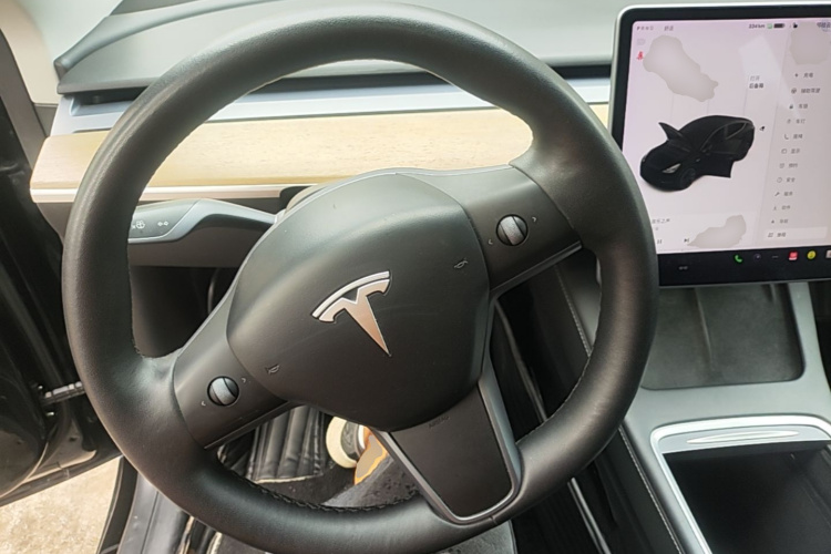 Tesla Model Y 2021 #15 Tesla Model Y 2021 car image #15