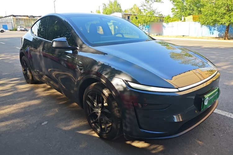 Tesla Model Y 2025 car image #4