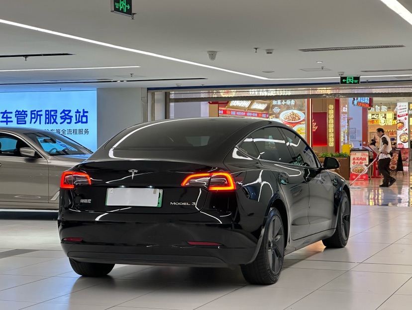 Tesla Model 3 2021 car image #8