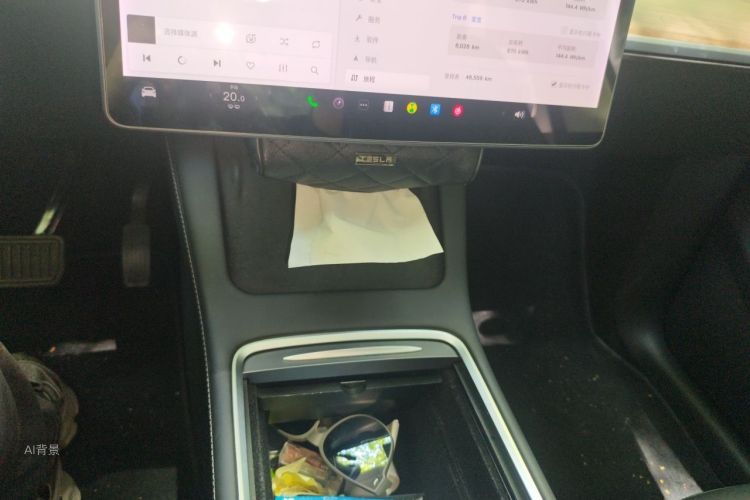 Tesla Model Y 2021 car image #16