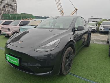 Tesla Model Y 2024 Tesla Model Y 2024 car image
