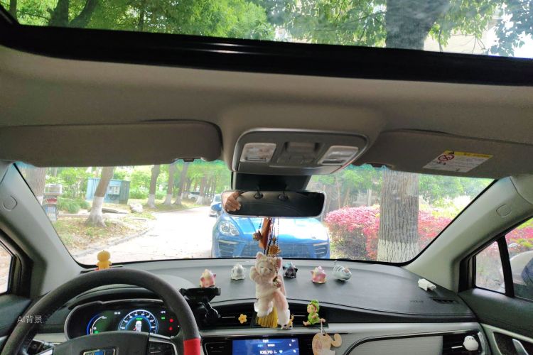 GEELY Emgrand GSe 2019 car image #20