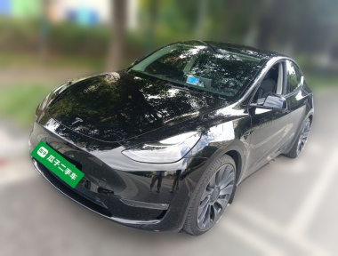 Tesla Model Y 2022 Tesla Model Y 2022 car image