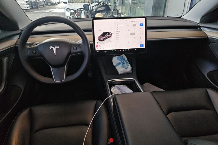 Tesla Model 3 2023 #10 Tesla Model 3 2023 immagine di auto #10