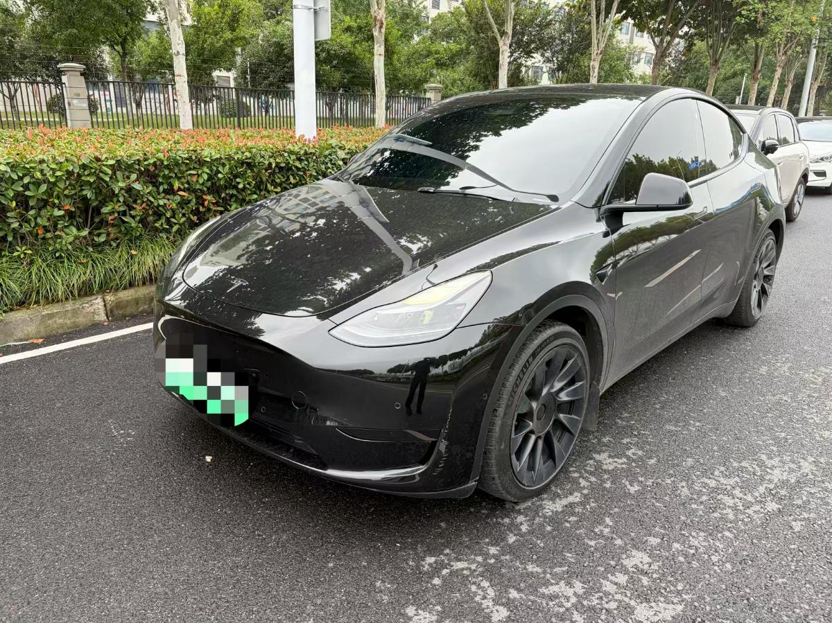 Tesla Model Y 2022 Tesla Model Y 2022 car image