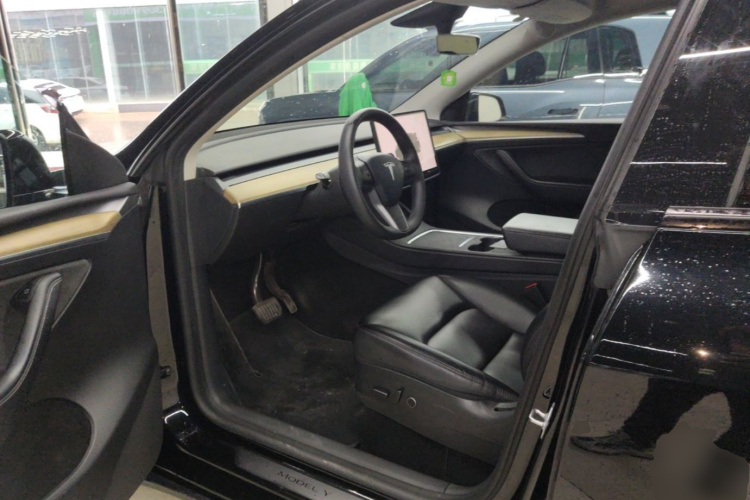 Tesla Model Y 2023 car image #16