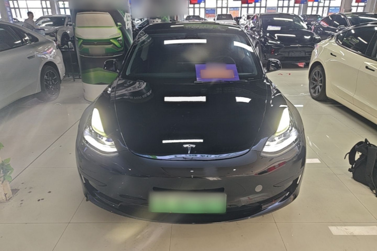 Tesla Model 3 2021 #3 Tesla Model 3 2021 car image #3