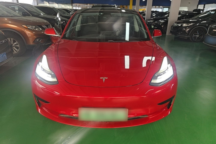 Tesla Model 3 2020 #3 Tesla Model 3 2020 car image #3
