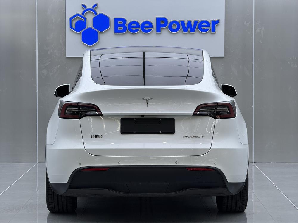 Tesla Model Y 2021 car image #6