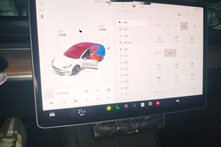 Tesla Model 3 2021 #13 Tesla Model 3 2021 car image #13