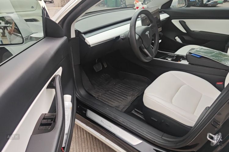 Tesla Model 3 2020 car image #18